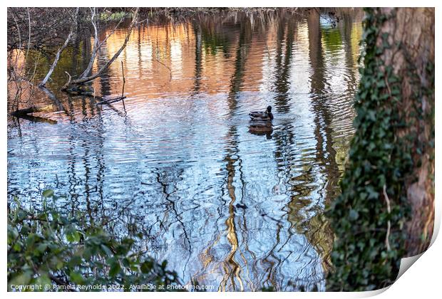 Ripples on a Lake with Duck Print by Pamela Reynolds