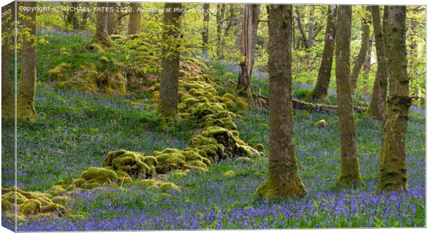 Bluebell Wood Canvas Print by MICHAEL YATES