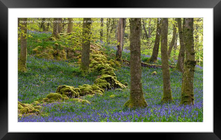 Bluebell Wood Framed Mounted Print by MICHAEL YATES