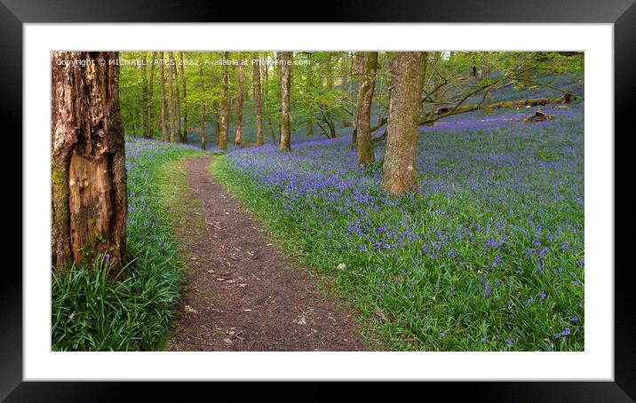 Path Through Bluebells Framed Mounted Print by MICHAEL YATES