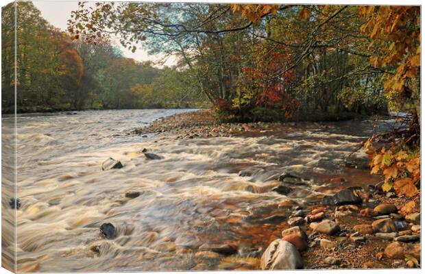 River Avon in Scotland Canvas Print by Michael Hopes