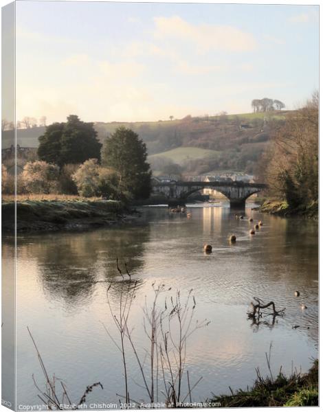 An early morning on the River Dart in Totnes  Canvas Print by Elizabeth Chisholm