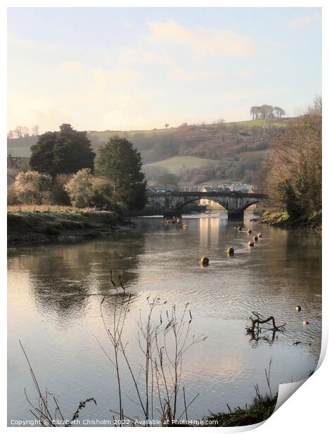 An early morning on the River Dart in Totnes  Print by Elizabeth Chisholm
