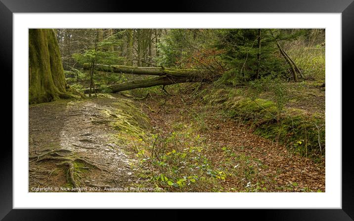 Ynys Maelog Woods Llantrisant south Wales Framed Mounted Print by Nick Jenkins