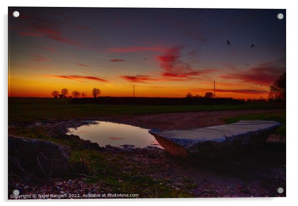 Sunset Puddle Acrylic by Nigel Bangert