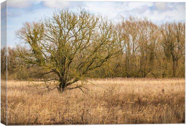 Autumn landscape Canvas Print by Chris Yaxley