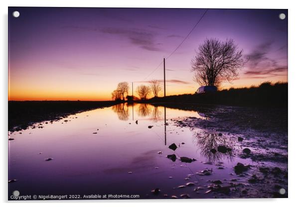 Sunset Reflection Acrylic by Nigel Bangert