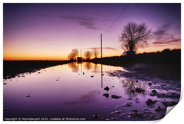 Sunset Reflection Print by Nigel Bangert