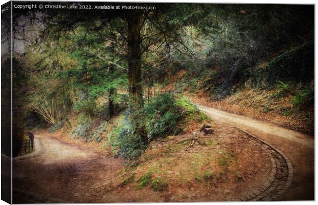 Which Path To Choose Canvas Print by Christine Lake