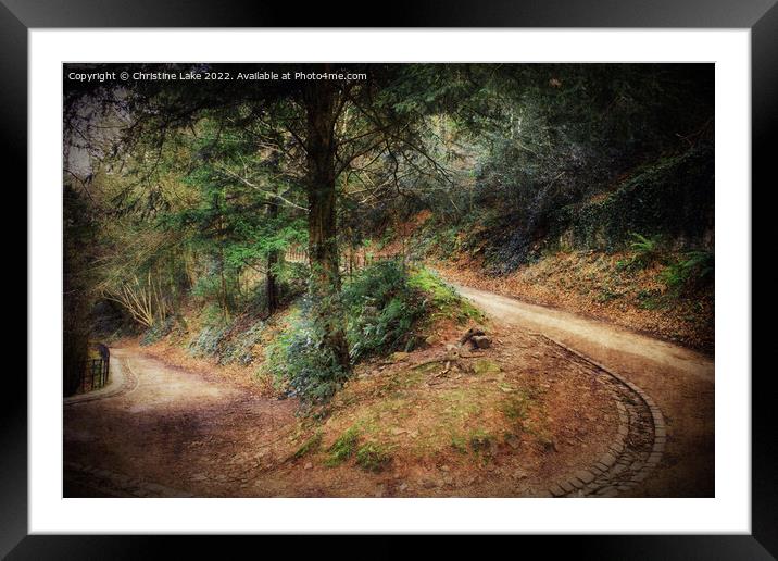 Which Path To Choose Framed Mounted Print by Christine Lake