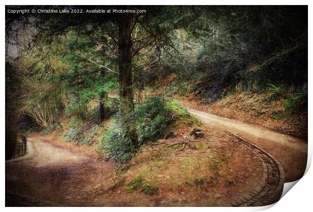 Which Path To Choose Print by Christine Lake
