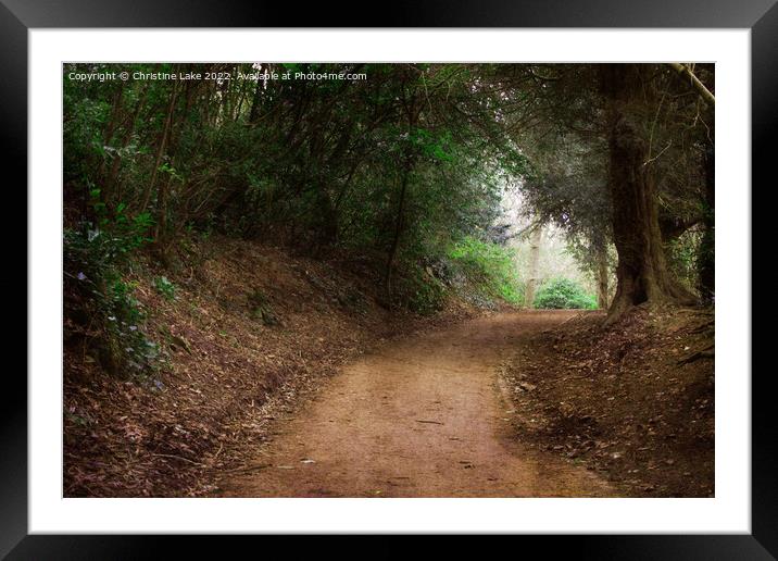 The Winding Path Framed Mounted Print by Christine Lake