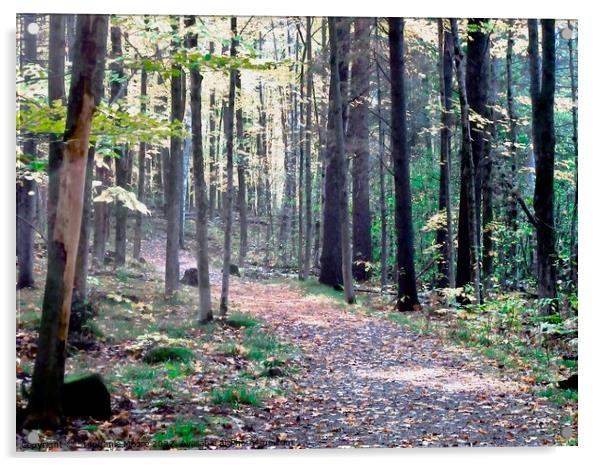 Almost to the end of the trail Acrylic by Stephanie Moore