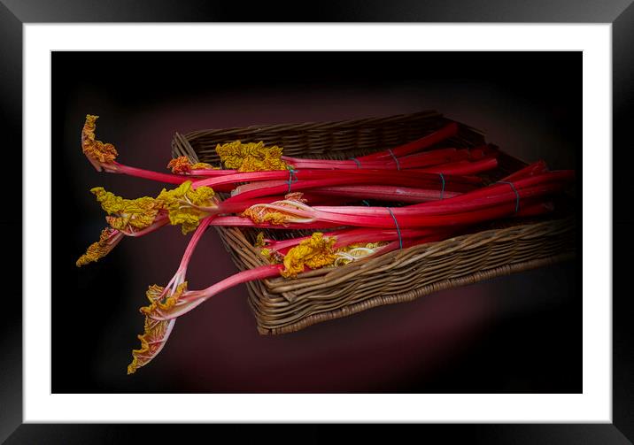 Wakefield Rhubarb  Framed Mounted Print by Alison Chambers