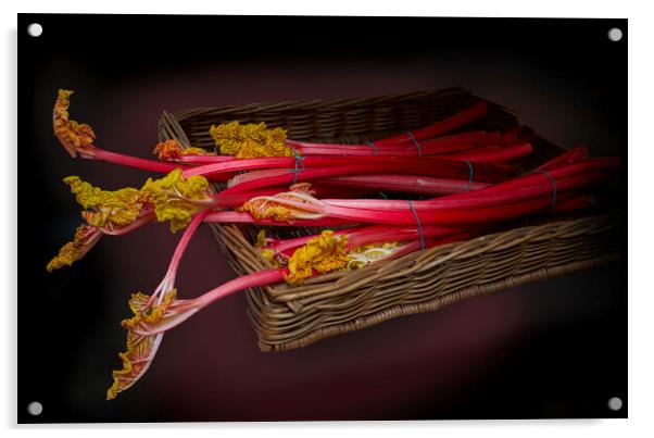 Wakefield Rhubarb  Acrylic by Alison Chambers