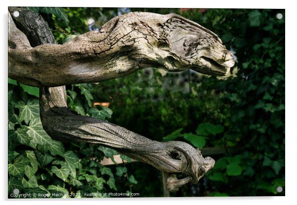 Serpentine Woodland Wonders Acrylic by Roger Mechan