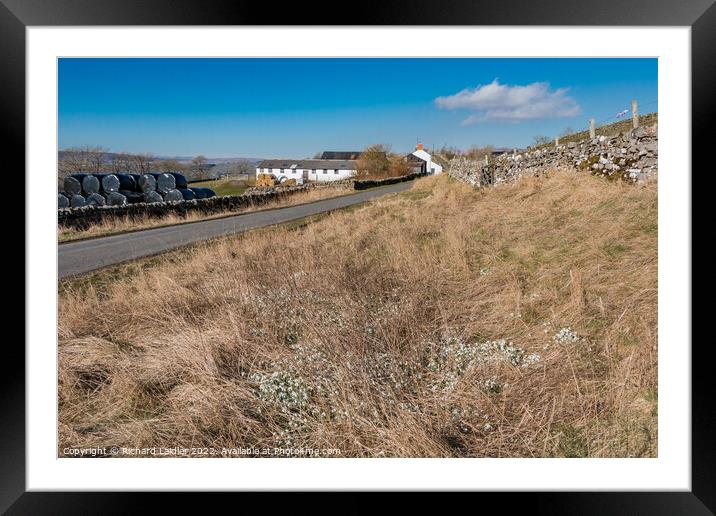 Revelin Farm and Roadside Snowdrops, Teesdale  Framed Mounted Print by Richard Laidler