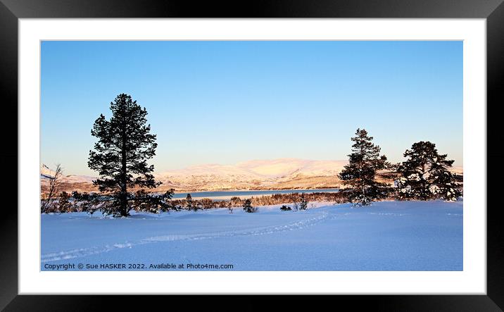 Outdoor  Framed Mounted Print by Sue HASKER