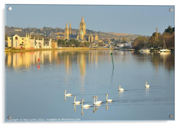 Truro River Swans Acrylic by Roy Curtis