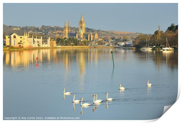 Truro River Swans Print by Roy Curtis