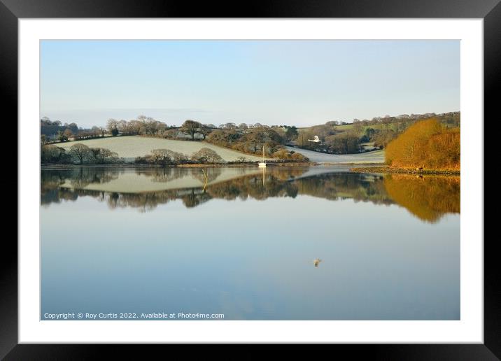 Frosty Morning Reflections Framed Mounted Print by Roy Curtis
