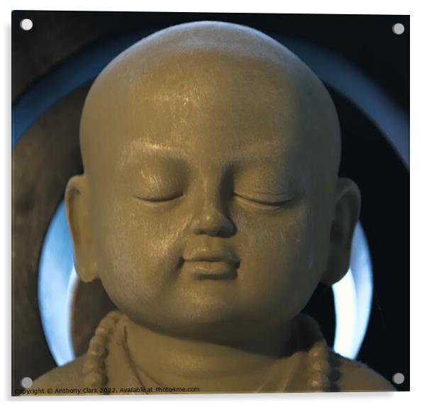 Serene Buddha Acrylic by Anthony Clark