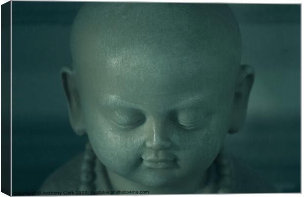 Contemplating Buddha Canvas Print by Anthony Clark