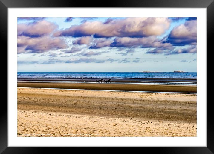 Horses Sulkies Utah D-day Landing Beach Normandy France Framed Mounted Print by William Perry