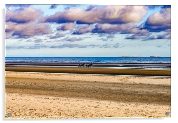 Horses Sulkies Utah D-day Landing Beach Normandy France Acrylic by William Perry