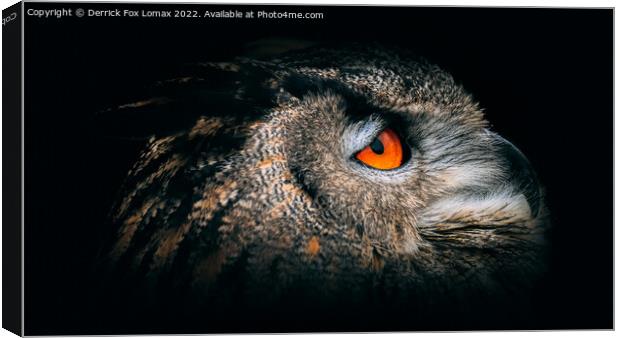 Eagle Owl Portrait Canvas Print by Derrick Fox Lomax