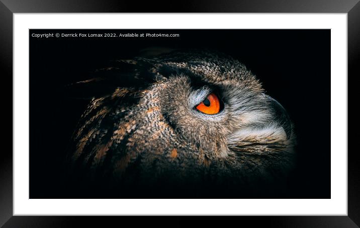 Eagle Owl Portrait Framed Mounted Print by Derrick Fox Lomax
