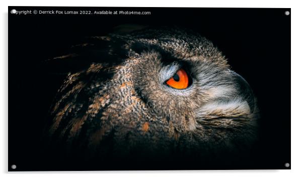 Eagle Owl Portrait Acrylic by Derrick Fox Lomax