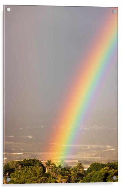 Vivid rainbow  Acrylic by Phil Crean