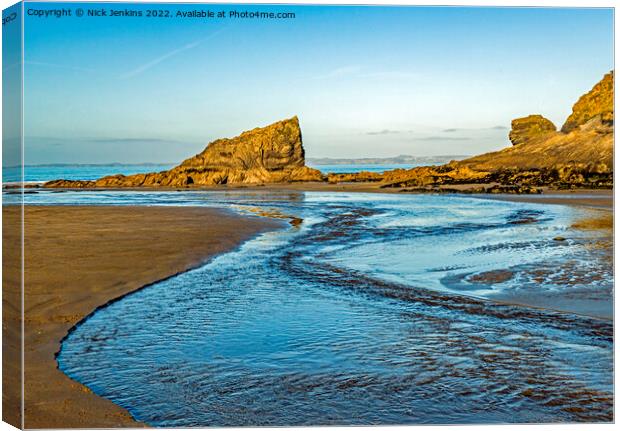 The Lion and Crocodile Rocks Broad Haven Canvas Print by Nick Jenkins