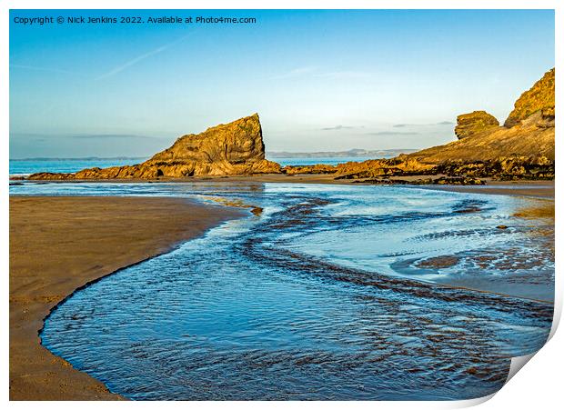 The Lion and Crocodile Rocks Broad Haven Print by Nick Jenkins