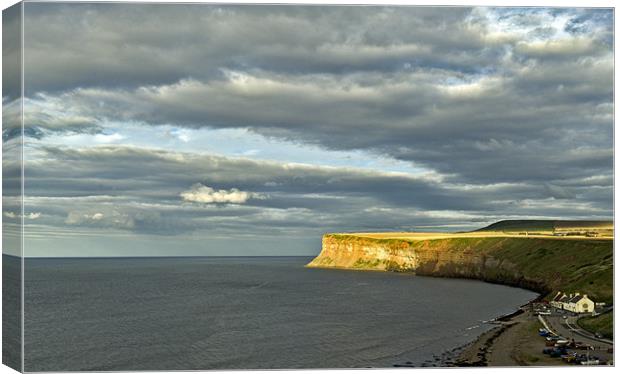 Light and shade, Huntcliff Canvas Print by Gary Eason