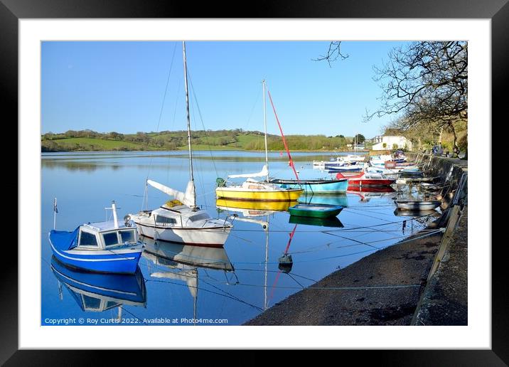 Sunny Corner Reflections Framed Mounted Print by Roy Curtis
