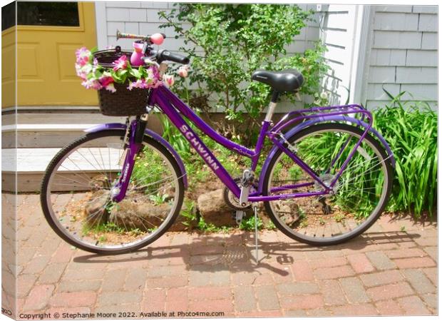 The Purple Bike Canvas Print by Stephanie Moore