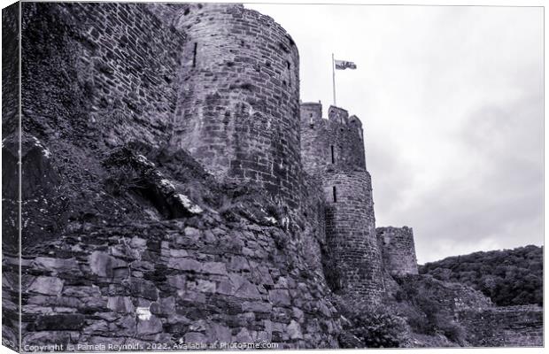 Conway Castle north Wales showing the side view  Canvas Print by Pamela Reynolds