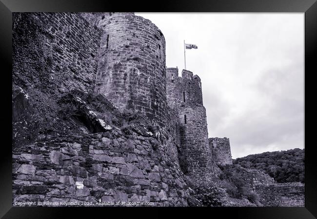 Conway Castle north Wales showing the side view  Framed Print by Pamela Reynolds