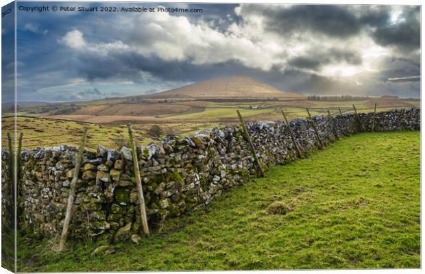 Limestine boulders in front of Park Fell near to Ribblehead in t Canvas Print by Peter Stuart