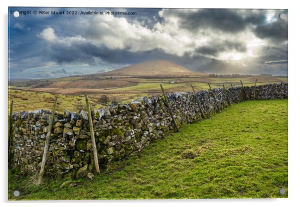 Limestine boulders in front of Park Fell near to Ribblehead in t Acrylic by Peter Stuart