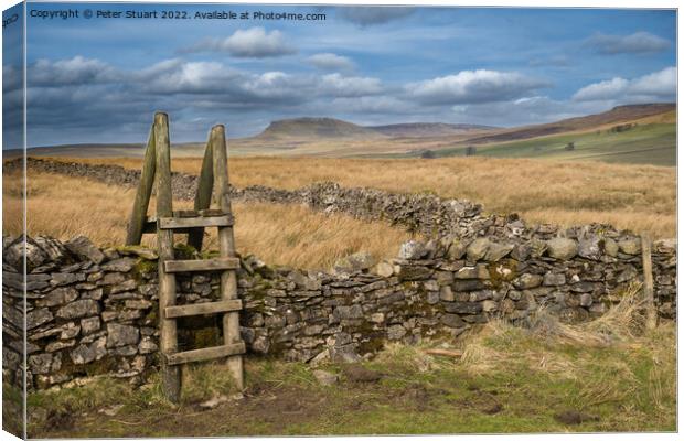 Walking the Settle Loop above Settle and Langcliffe in the Yorks Canvas Print by Peter Stuart