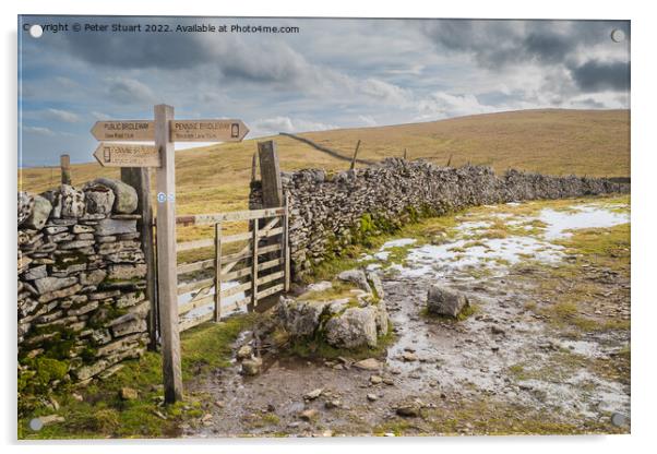 Walking the Settle Loop above Settle and Langcliffe in the Yorks Acrylic by Peter Stuart