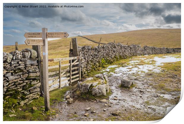 Walking the Settle Loop above Settle and Langcliffe in the Yorks Print by Peter Stuart