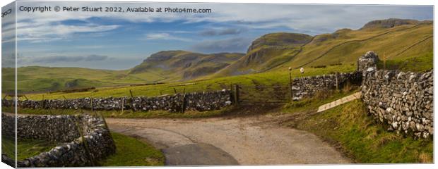Walking the Settle Loop above Settle and Langcliff Canvas Print by Peter Stuart
