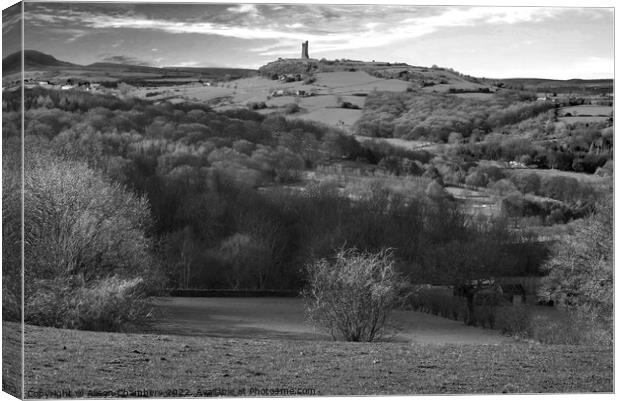 Castle Hill Landscape B&W Canvas Print by Alison Chambers