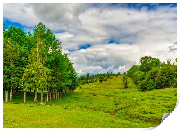 Photography with the green landscape of Urbasa and Andia in Navarra Print by Vicen Photo