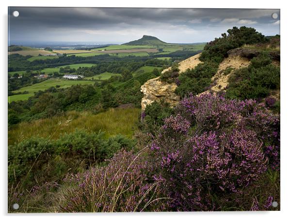 Roseberry Topping from Cockshaw Hill Acrylic by Gary Eason