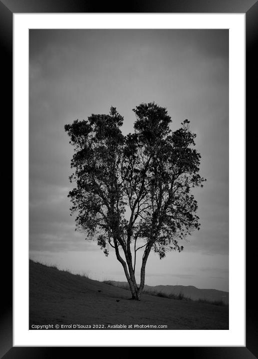 Lone Tree Stands Tall on a Hill Framed Mounted Print by Errol D'Souza